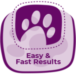 Easy and Fast Results Icon
