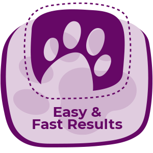 Easy and Fast Results Icon